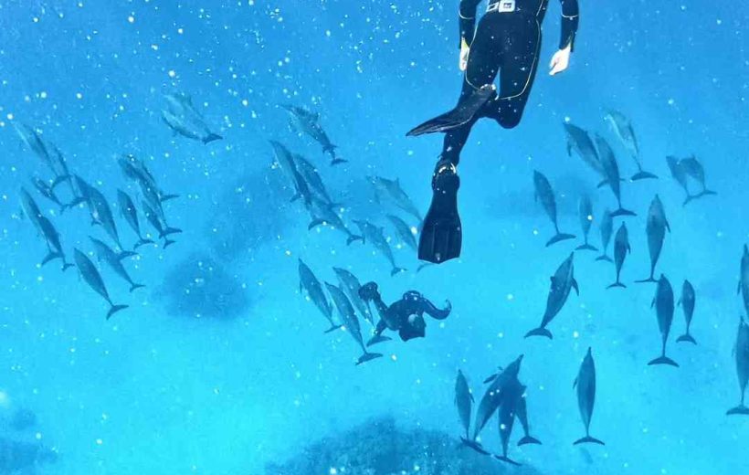 Orange Island snorkeling Trip