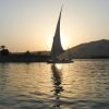 Felucca
