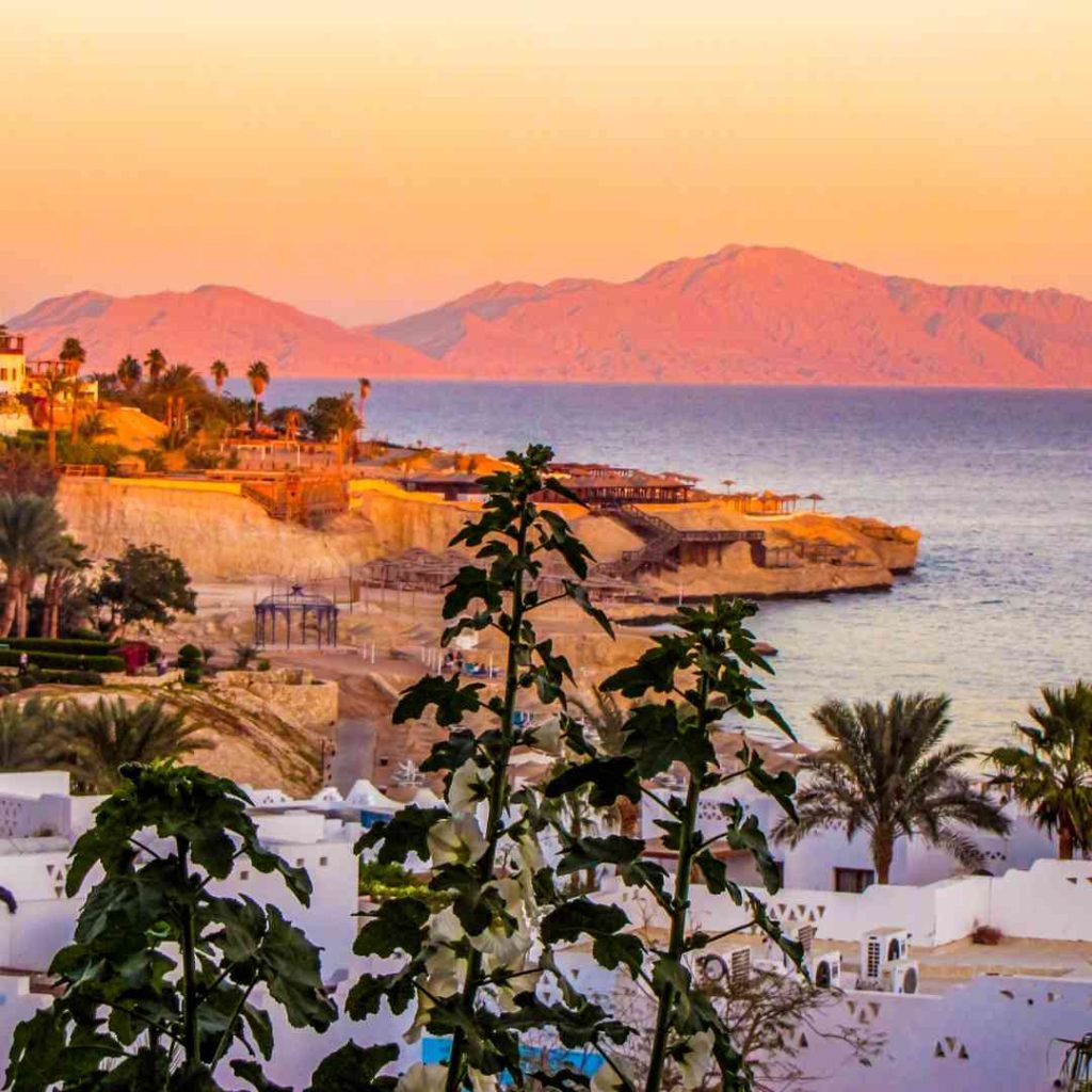 egypt travel advice sharm el sheikh